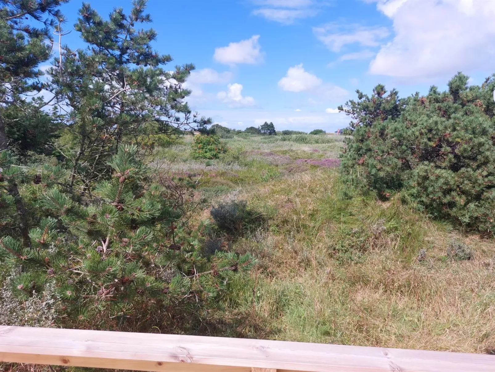 "Elgin" - 1.8km from the sea-Binnen