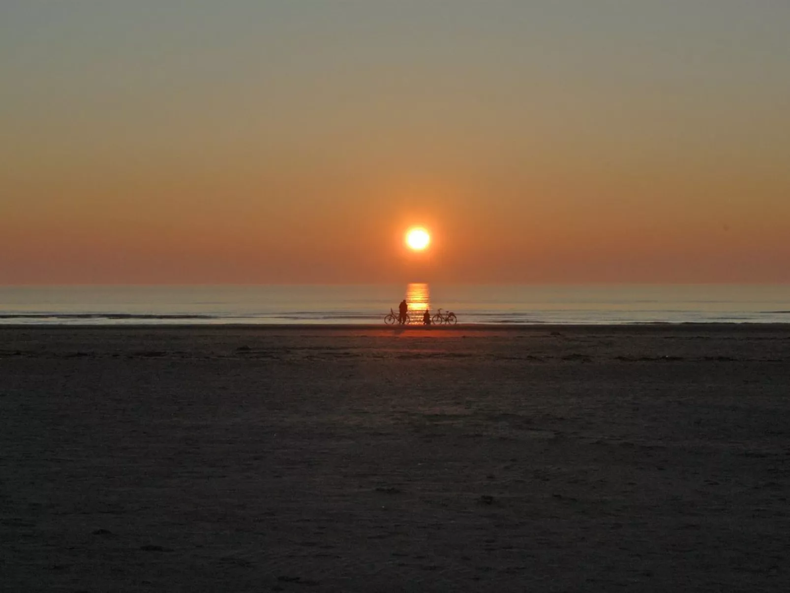 "Freek" - 400m from the sea-Buiten