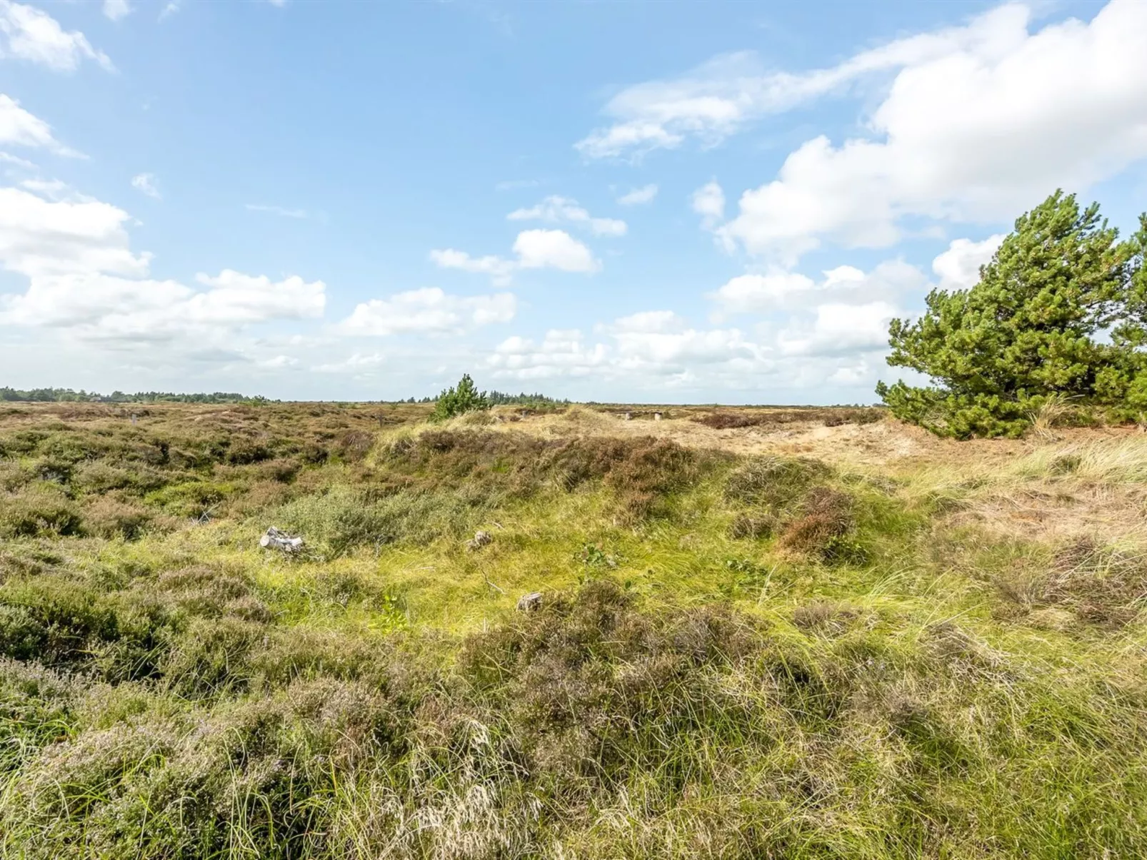 "Dufa" - 3.2km from the sea-Binnen