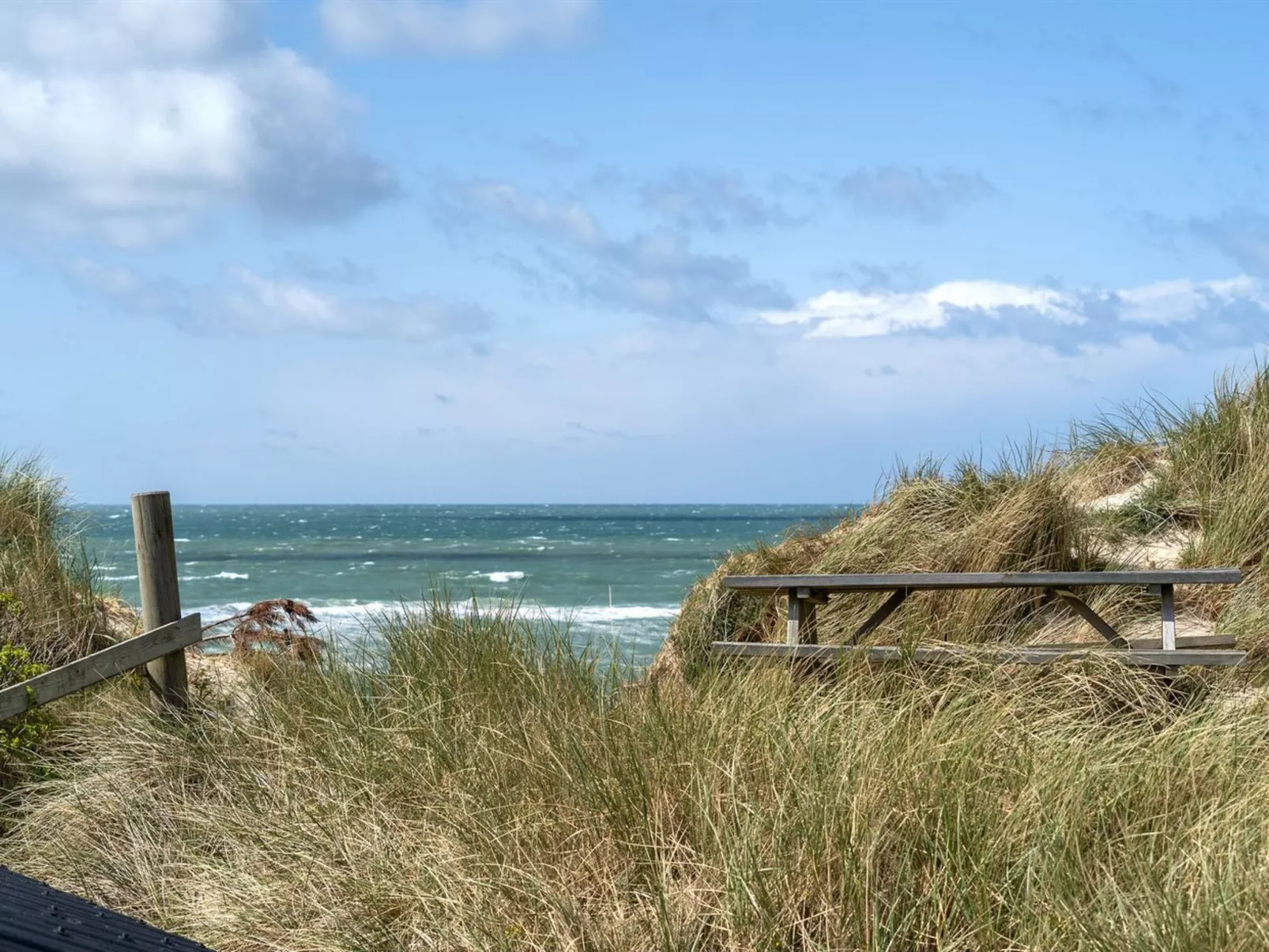 "Abbie" - 10m from the sea