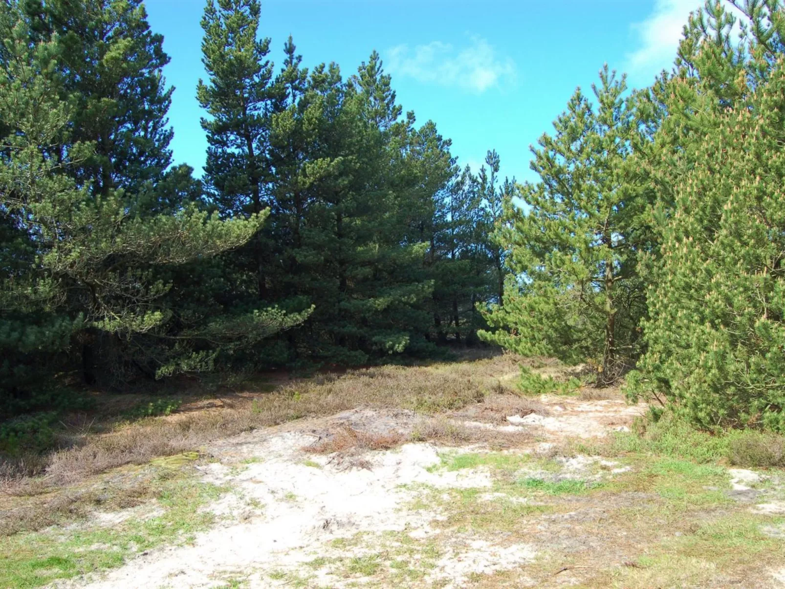 "Volmar" - 3.5km from the sea-Buiten