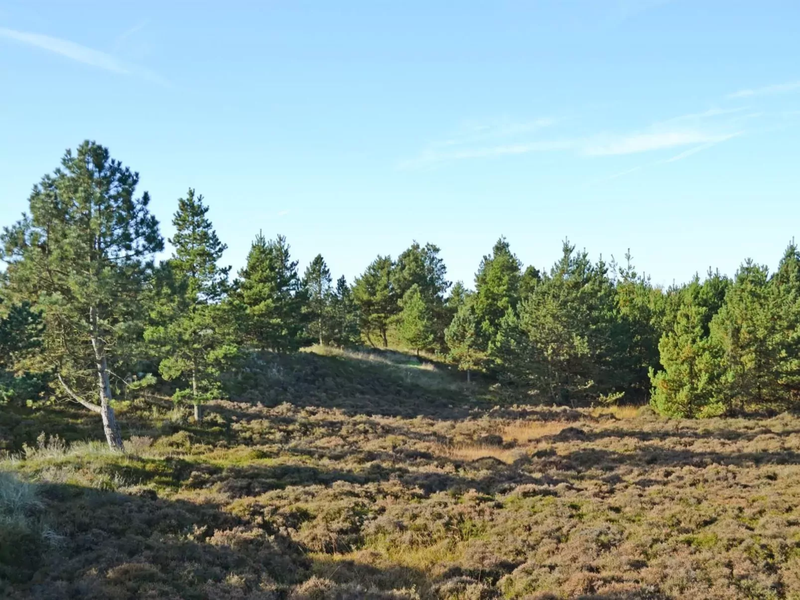 "Mariette" - 3.1km from the sea-Buiten