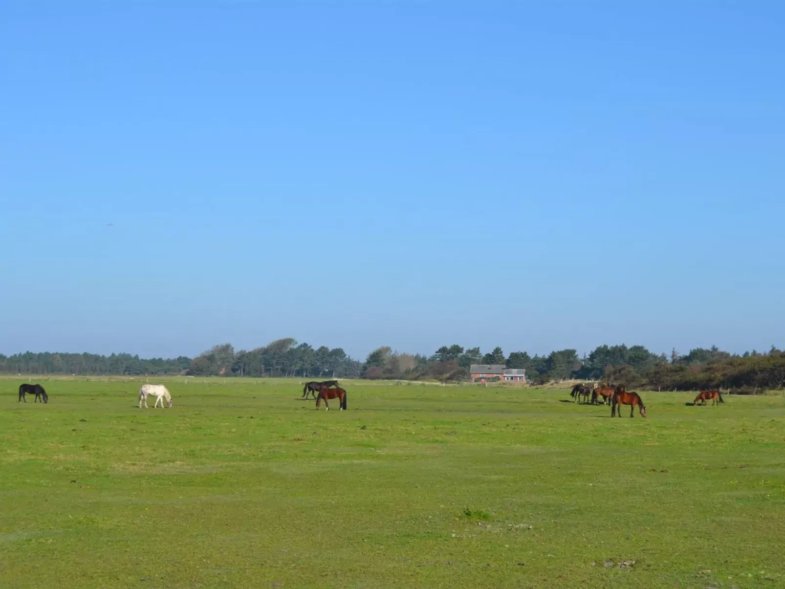 "Lin" - 2.9km from the sea-Buiten