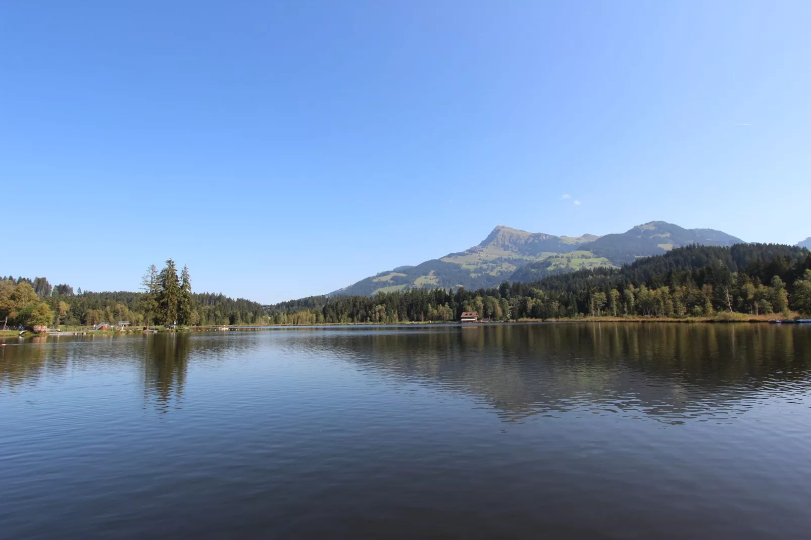 Hollerhaus-Gebieden zomer 20km
