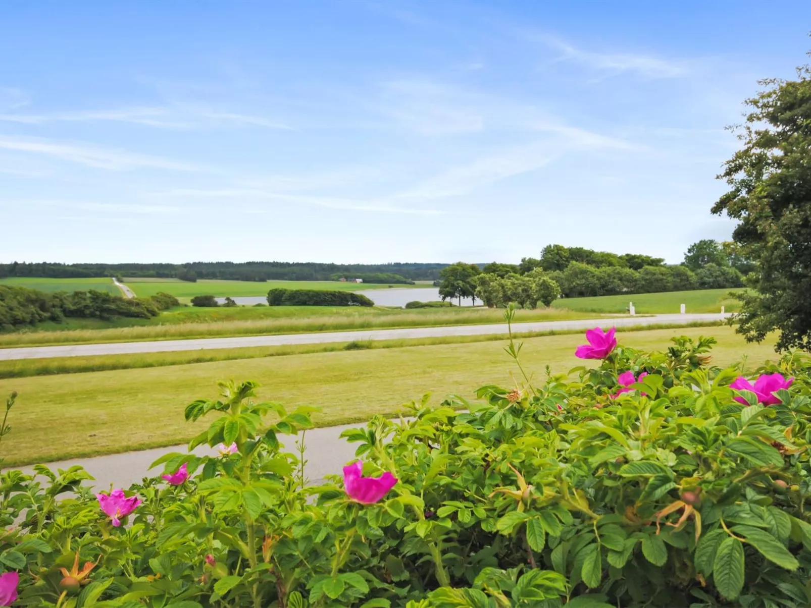 "Ludovic" - 7km from the sea