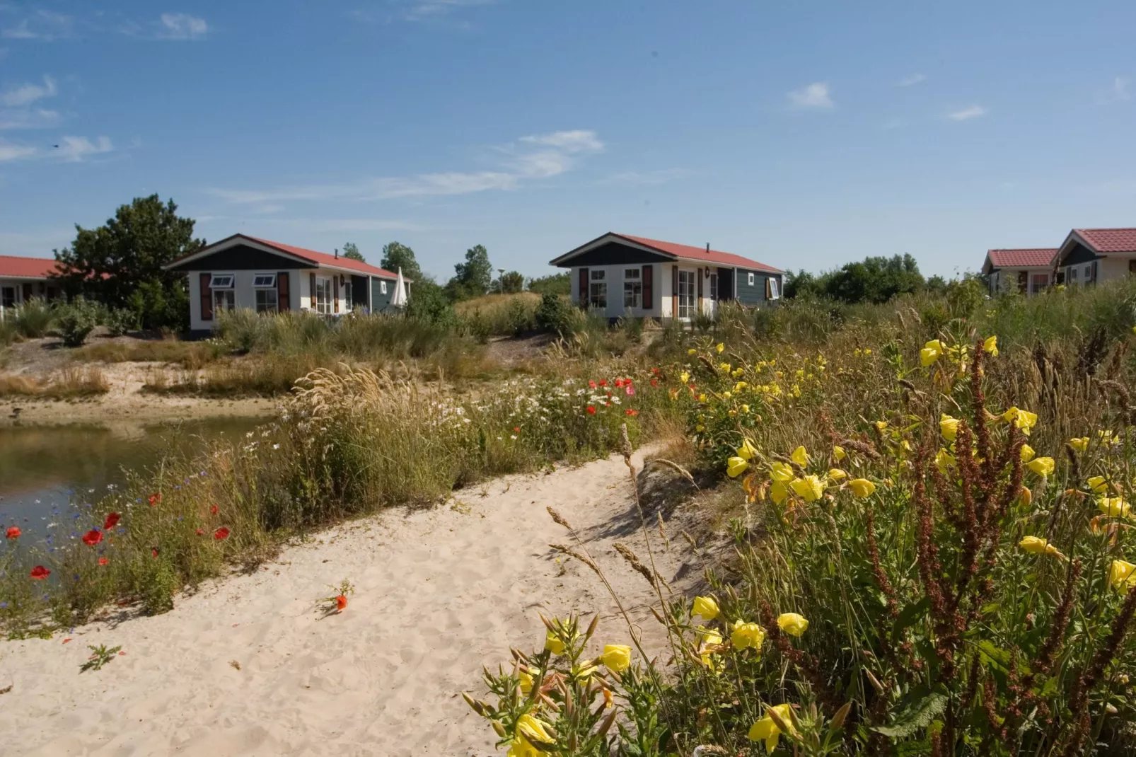 Vakantiepark de Krim 9-Buitenkant zomer