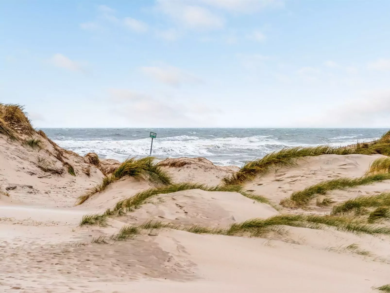 "Nicolaus" -  from the sea-Buiten
