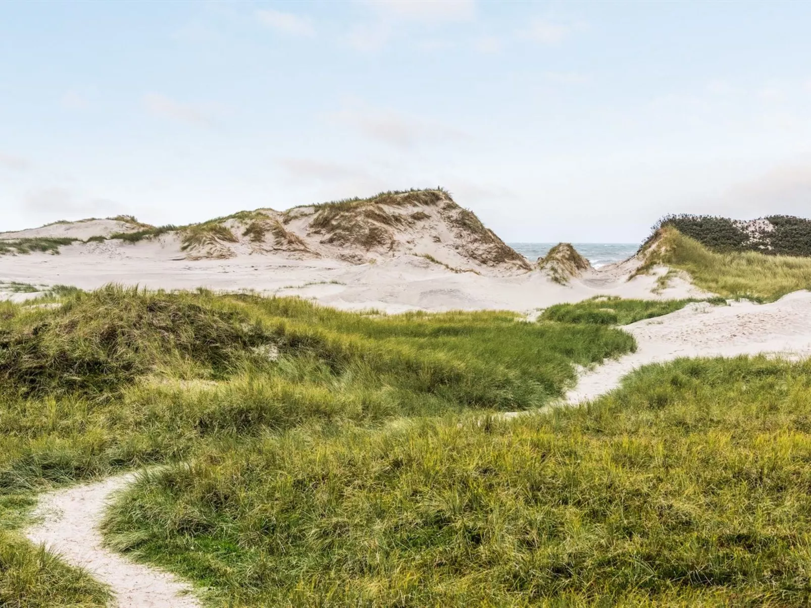 "Nicolaus" -  from the sea-Buiten