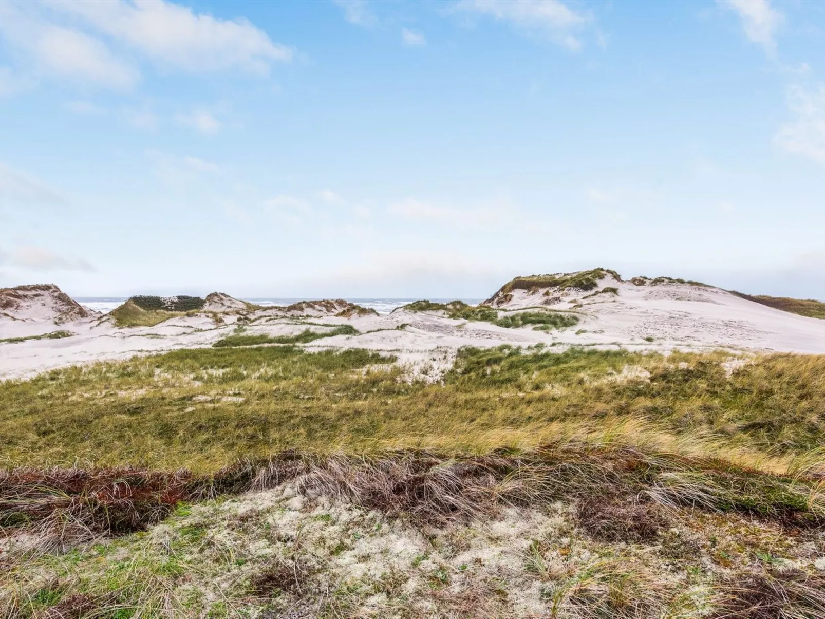 "Nicolaus" -  from the sea-Buiten