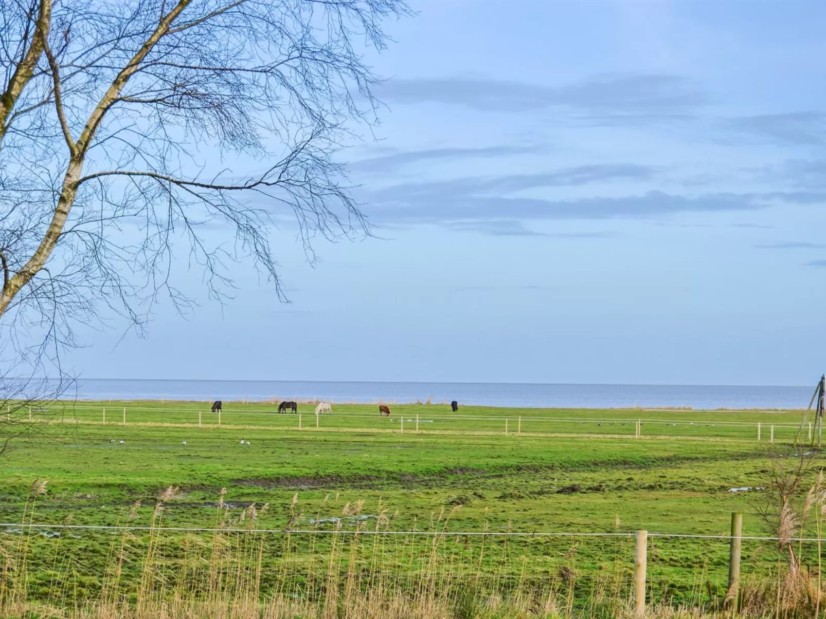 "Asfrid" - 3.5km from the sea-Buiten