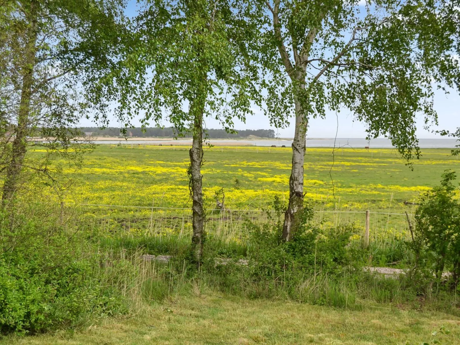 "Asfrid" - 3.5km from the sea-Buiten