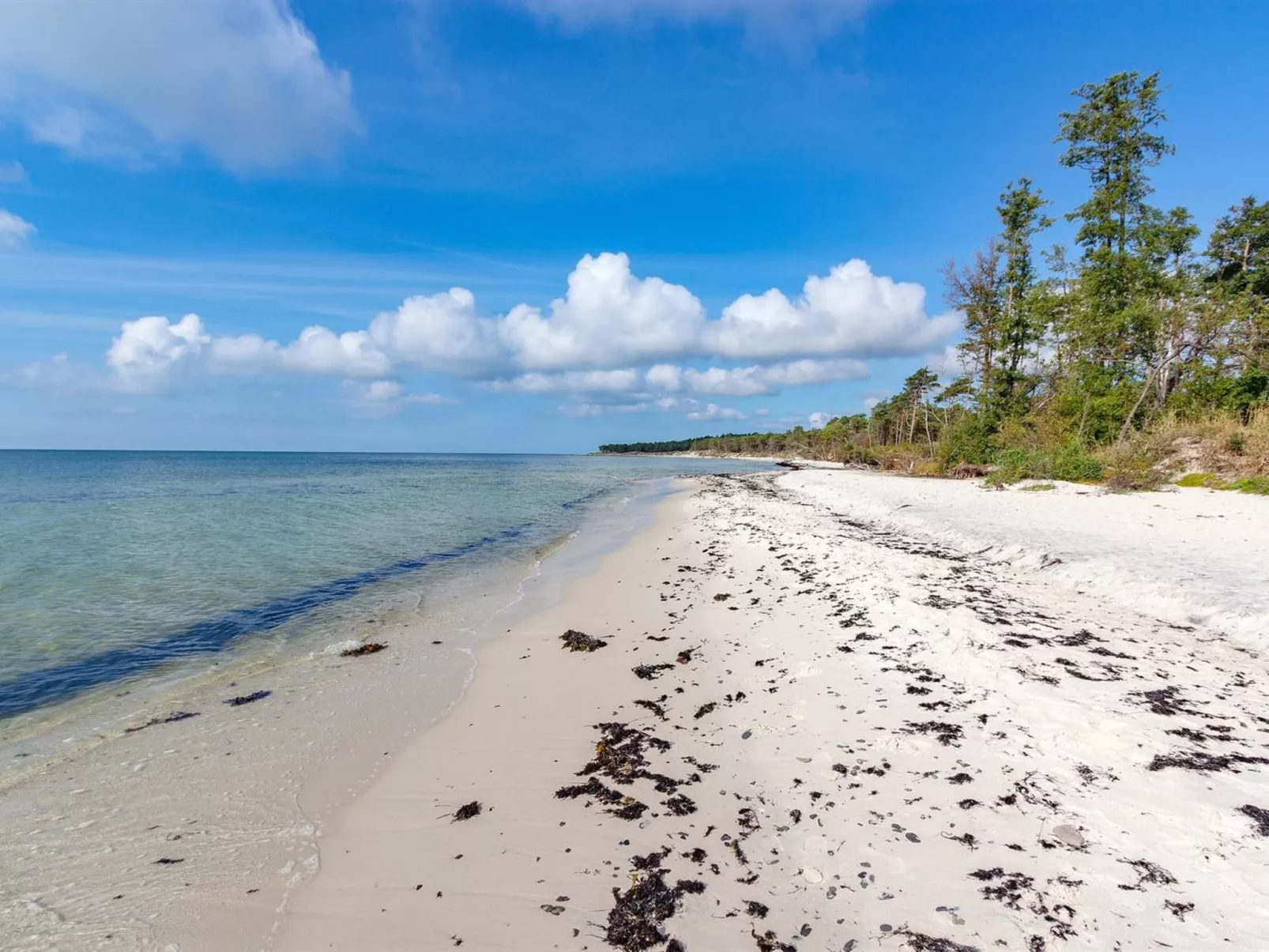 "Hildegerd" - 500m from the sea