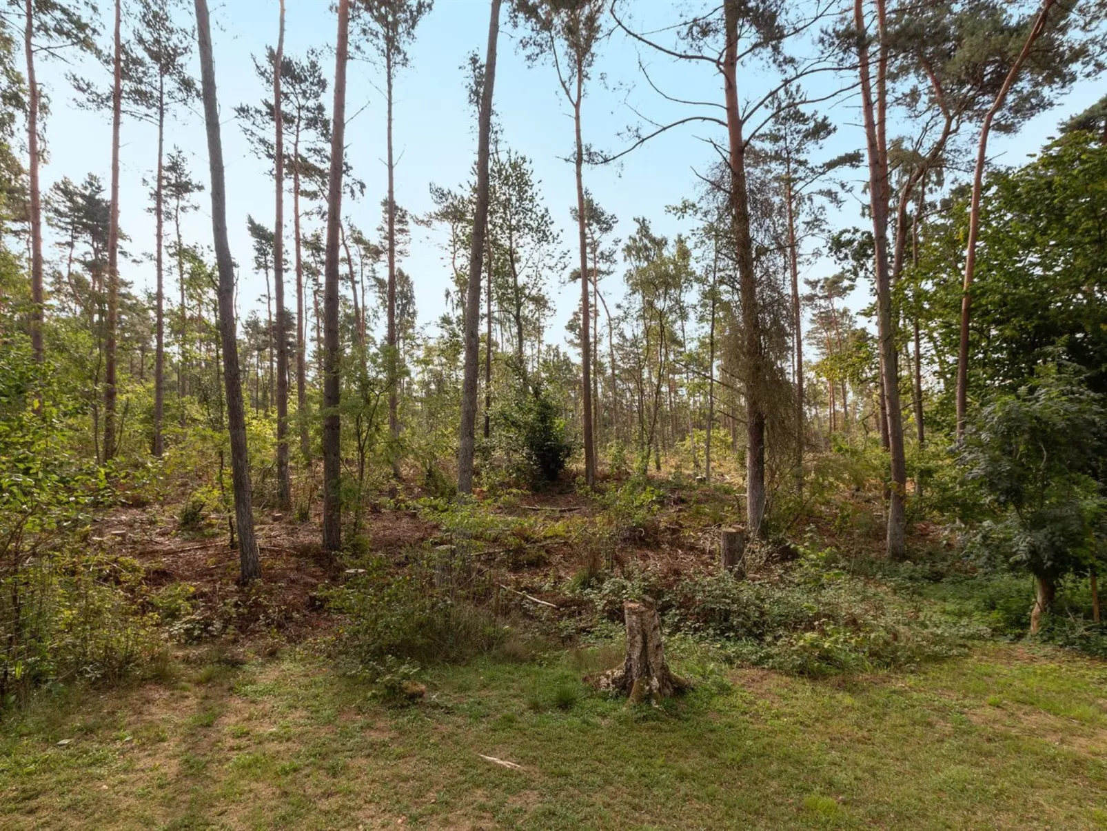 "Henri" - 800m from the sea-Buiten