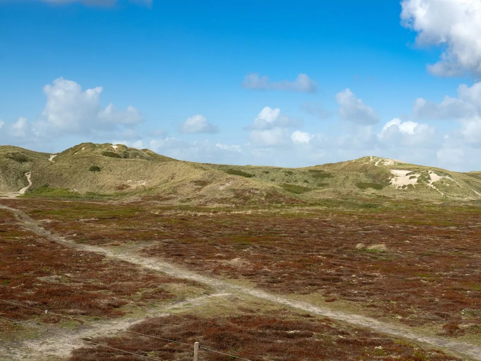 "Zaga" -  from the sea-Buiten
