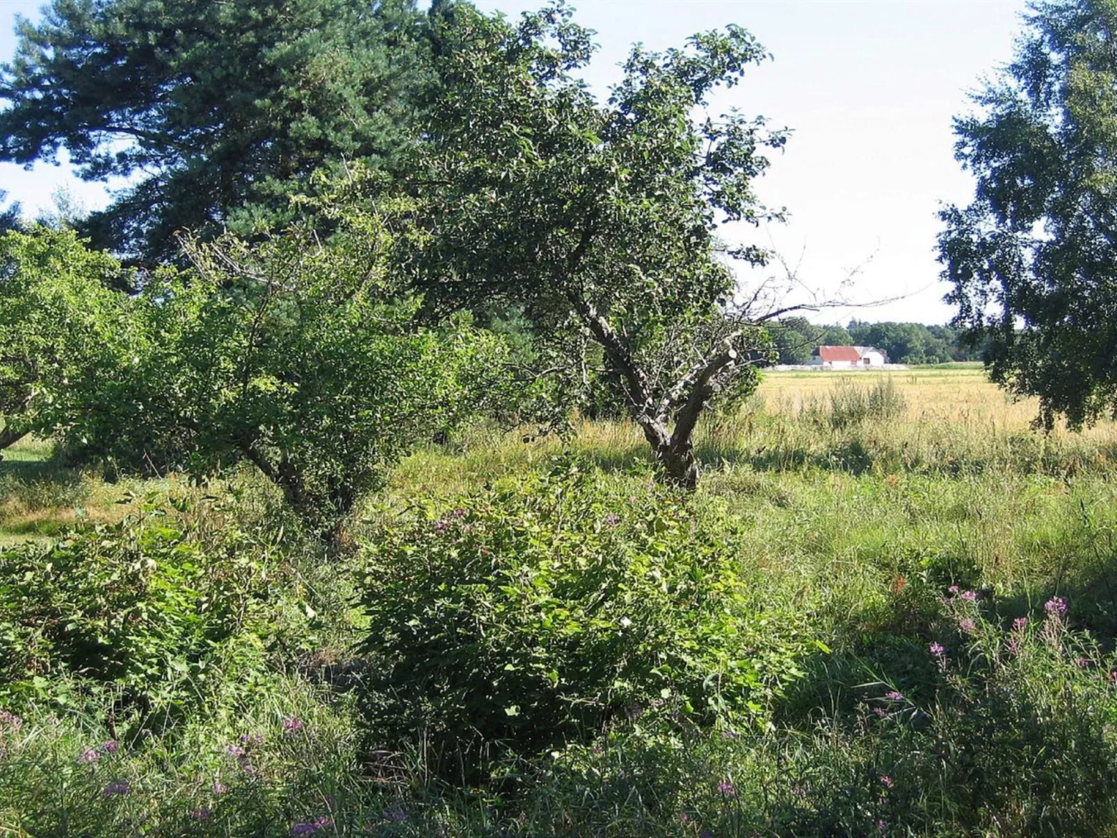 "Ema" - 5km from the sea-Binnen