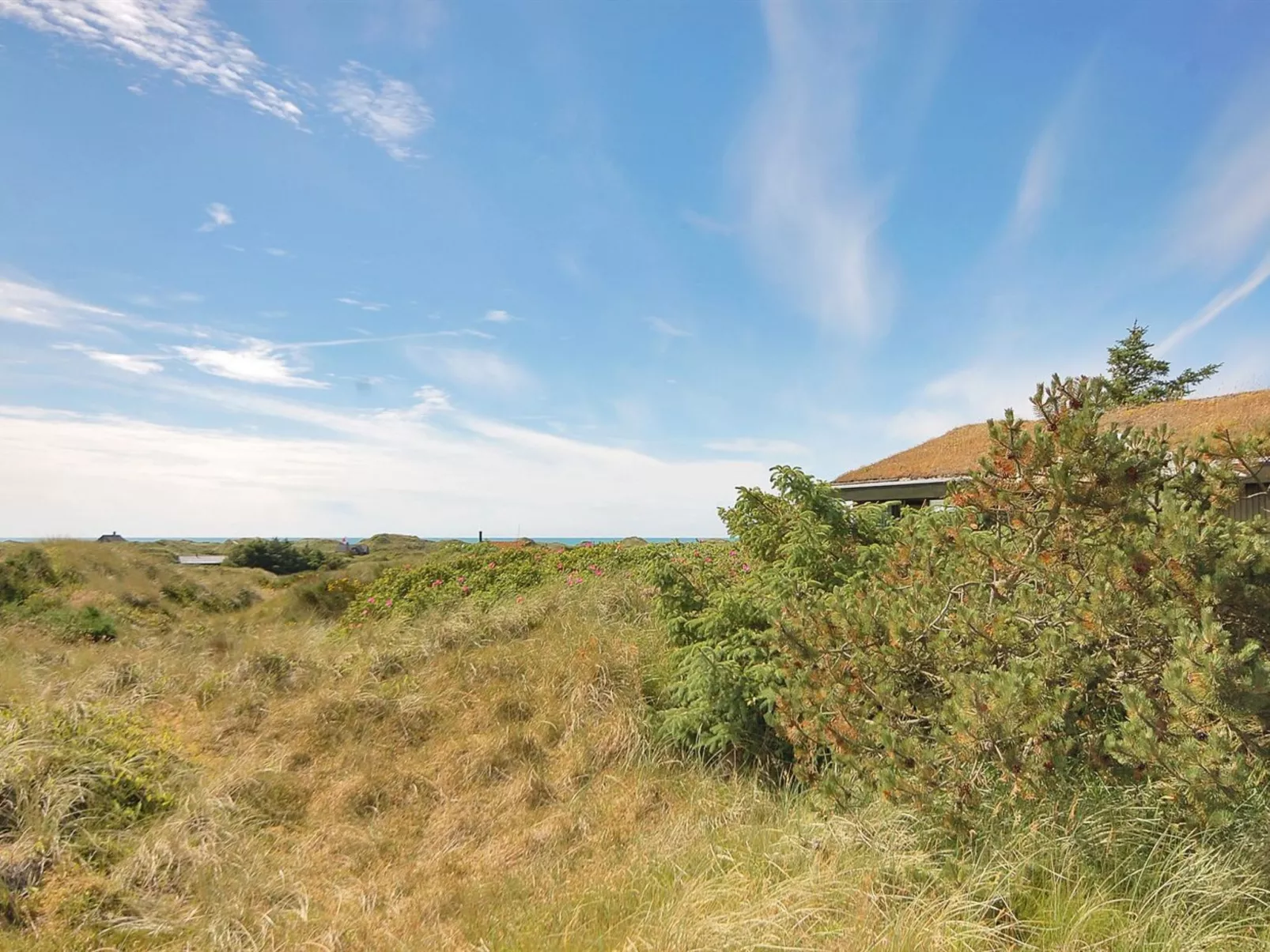 "Ehawee" - 350m from the sea-Buiten