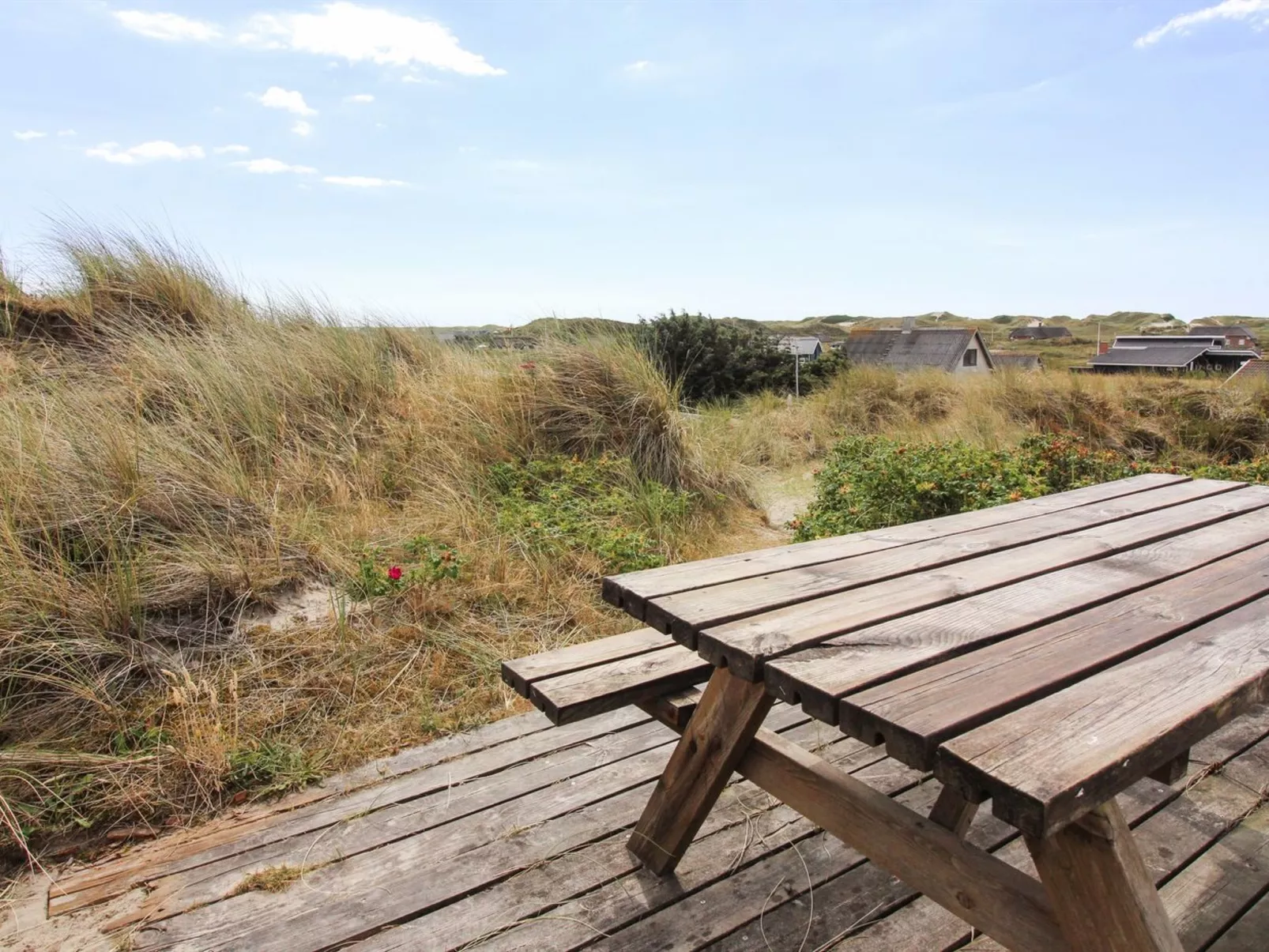 "Lenny" -  from the sea-Buiten