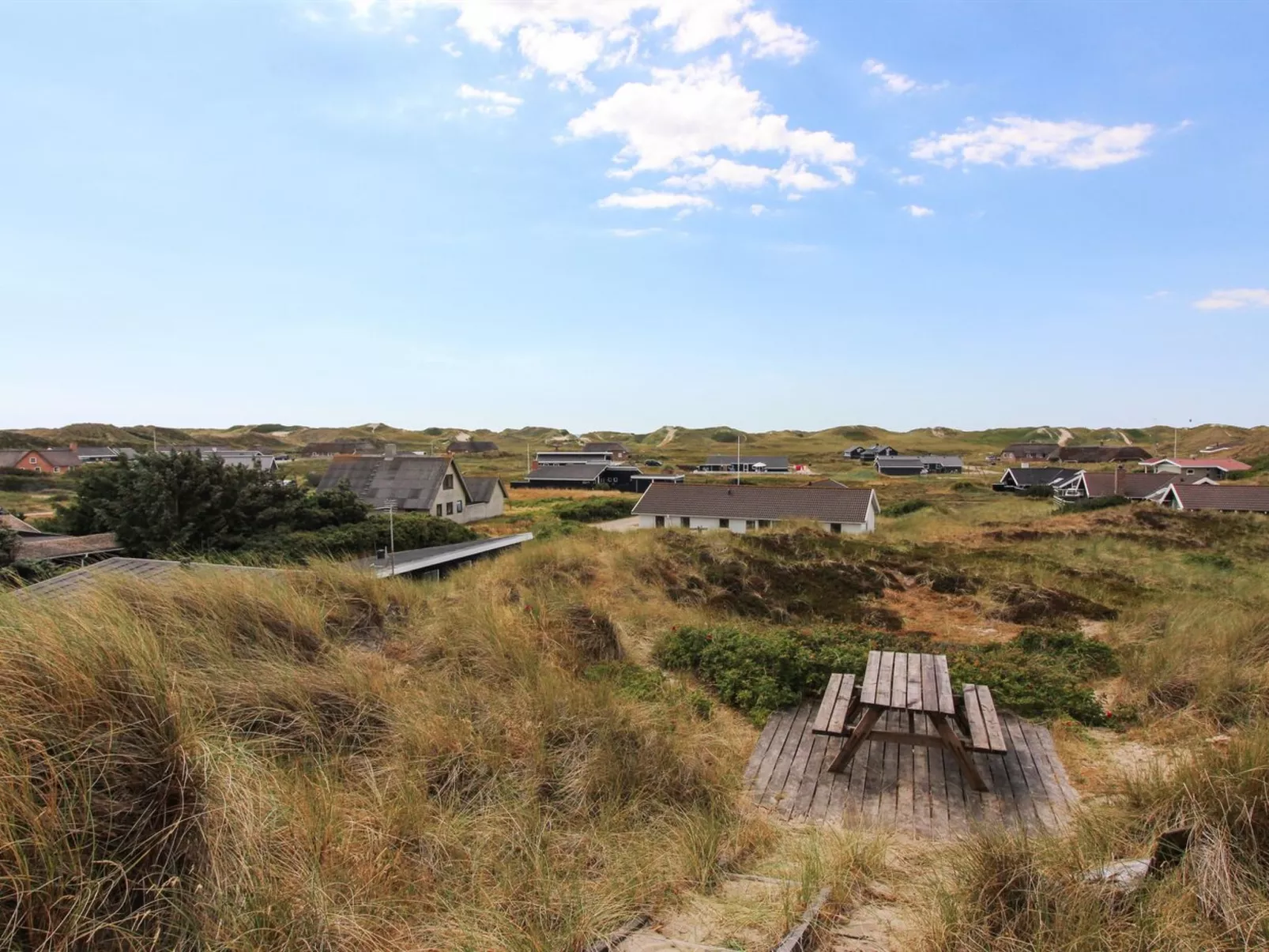 "Lenny" -  from the sea-Buiten