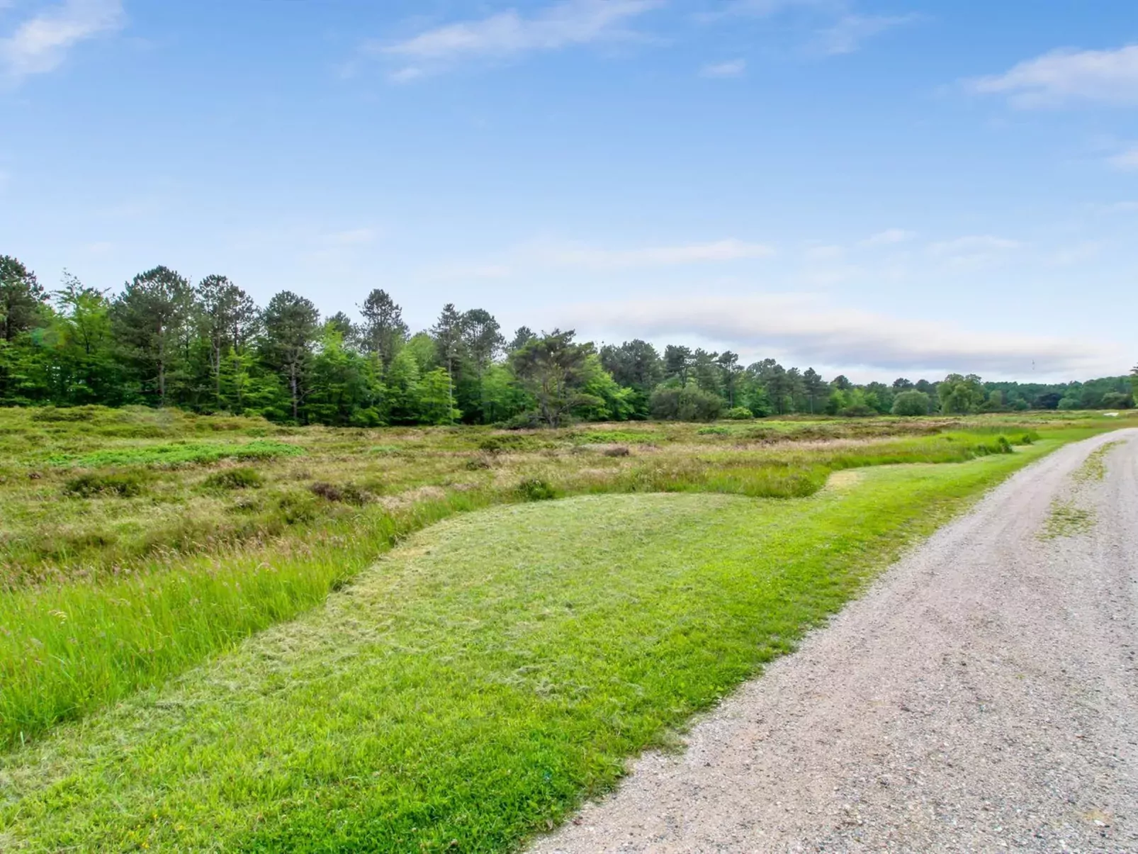"Flora" - 150m from the sea-Buiten