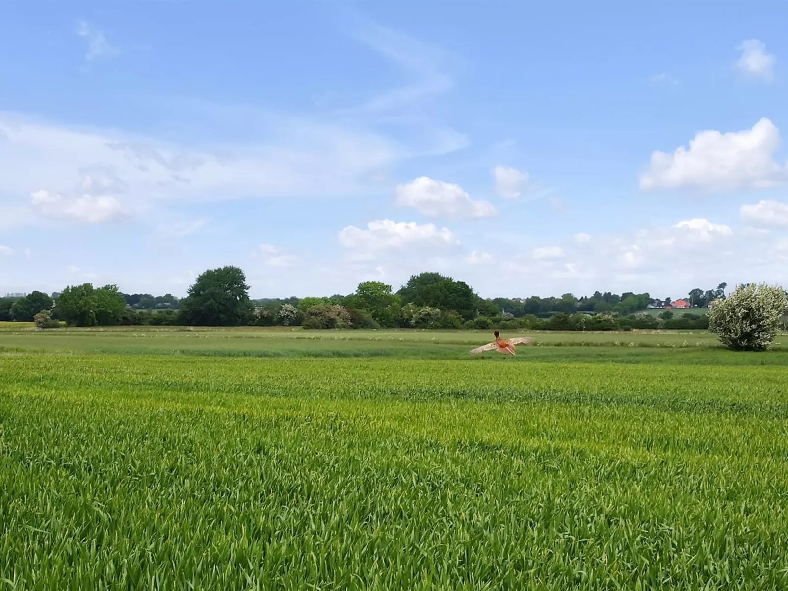 "Inola" - 500m from the sea-Buiten