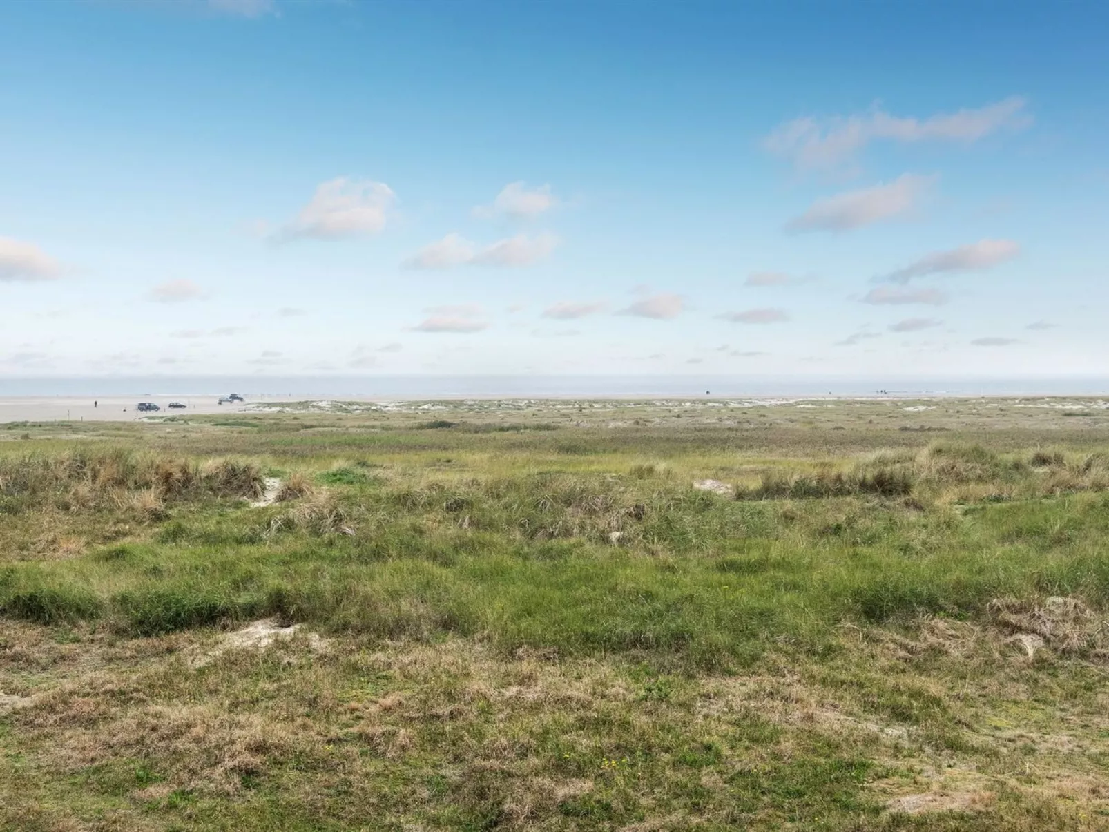 "Anedorte" - 50m from the sea-Buiten
