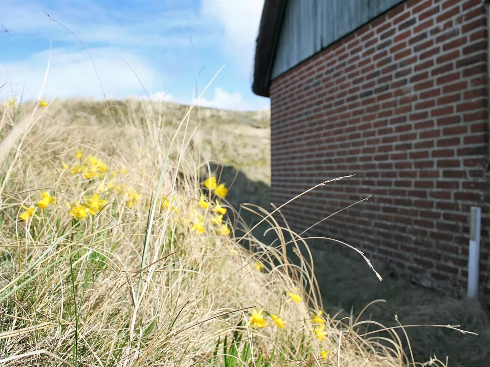 "Iivari" - 1.5km from the sea-Buiten