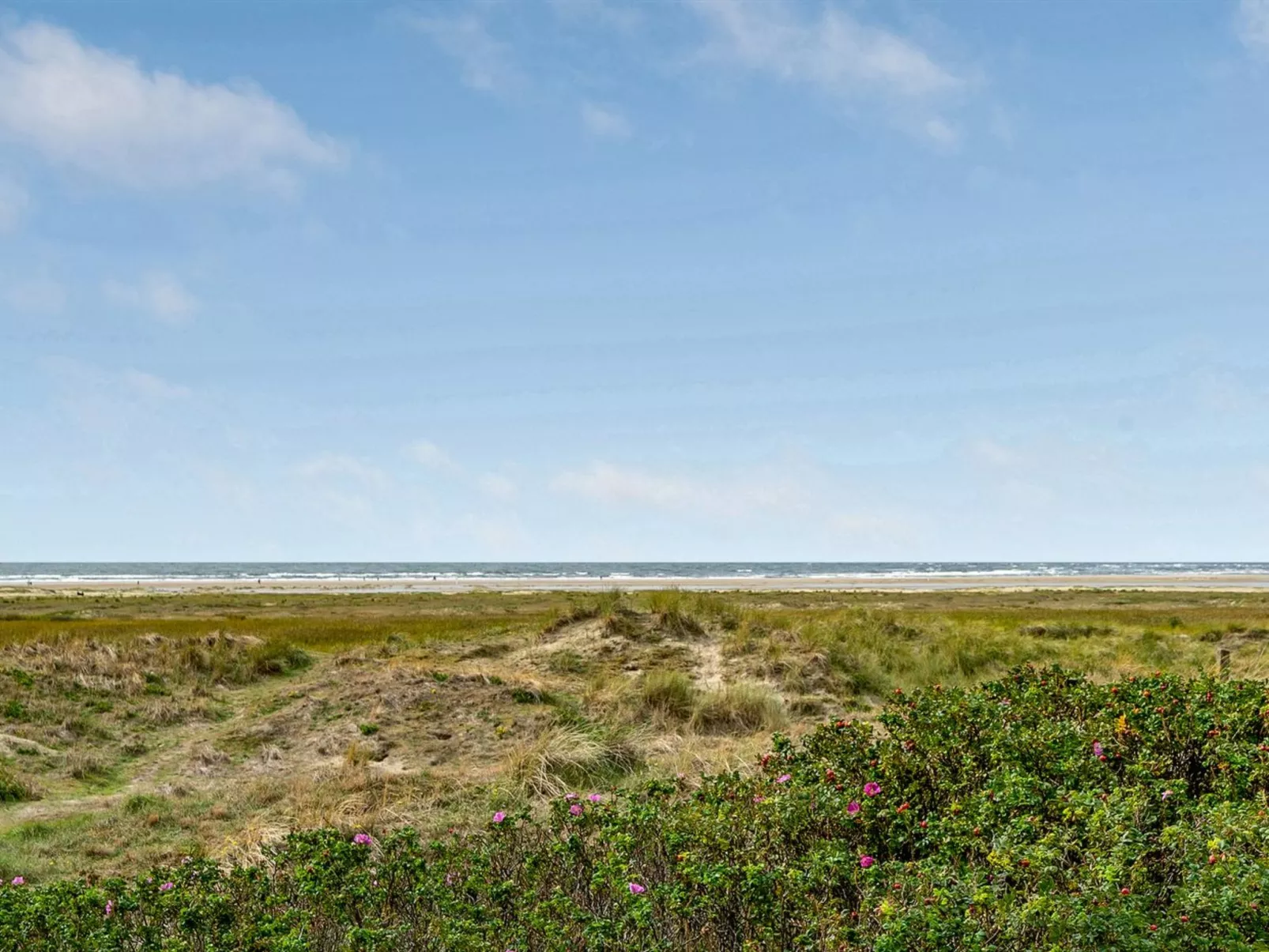 "Iliane" - 100m from the sea-Buiten