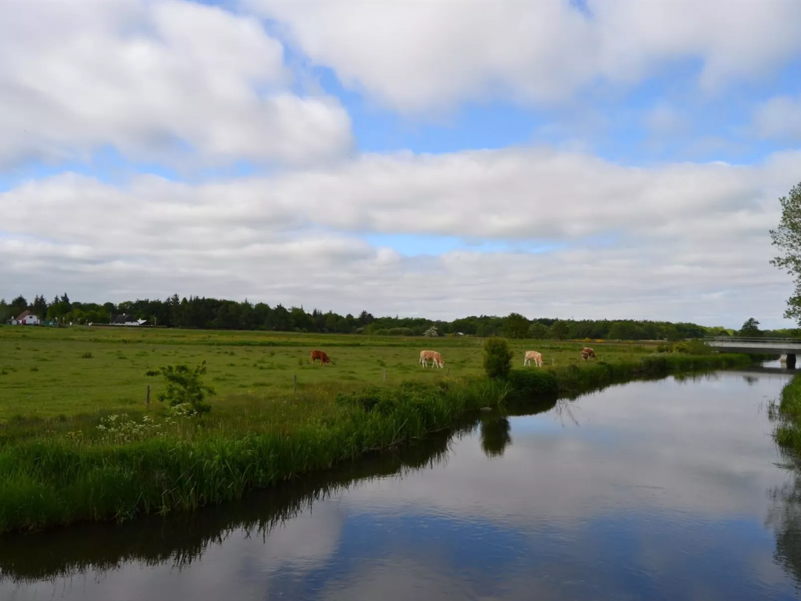 "Josina" - 32km from the sea