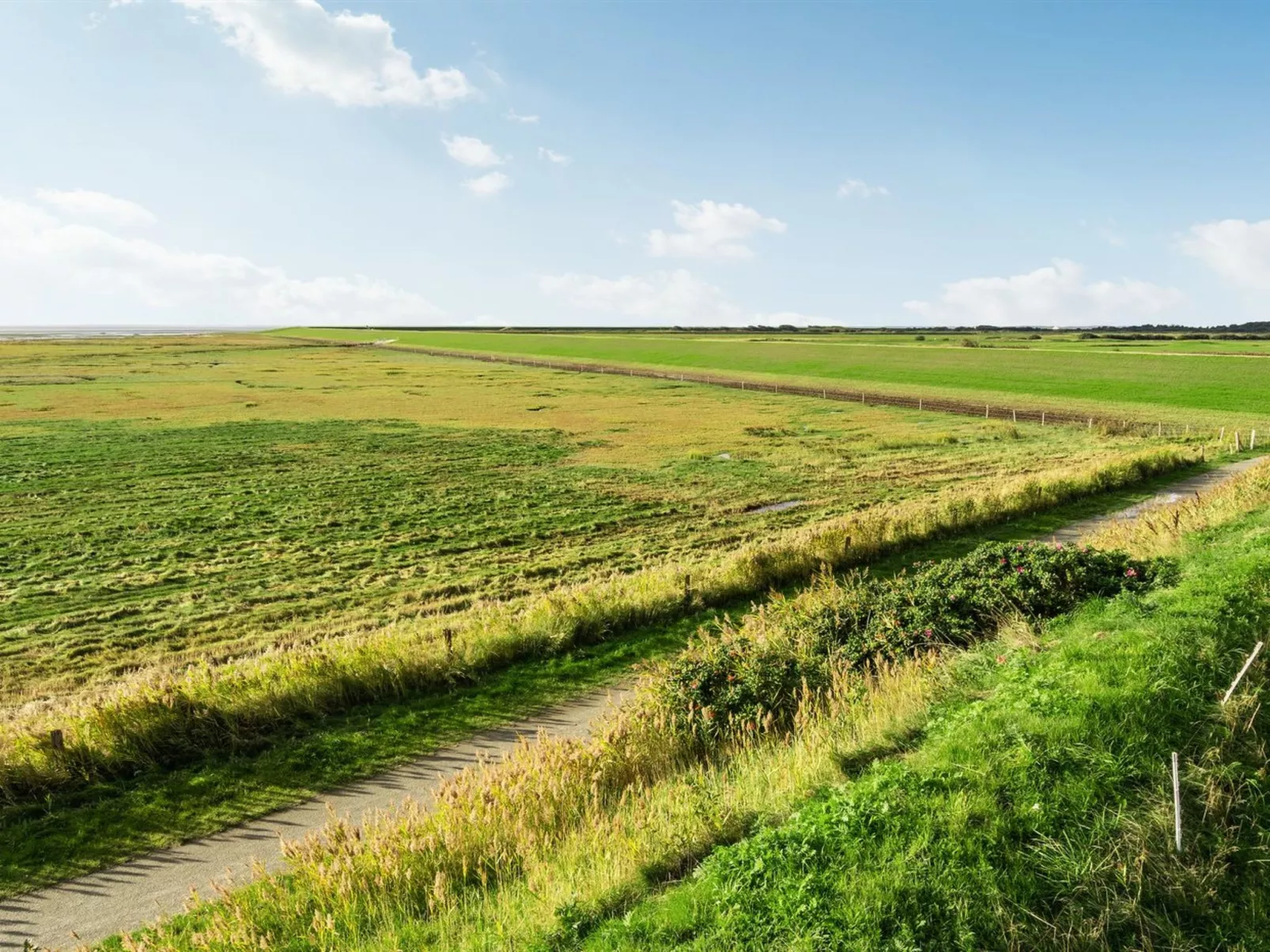 "Gudbrand" - 300m from the sea-Buiten