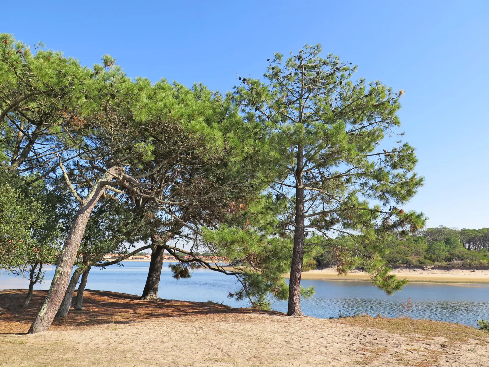 Les Sables d’Or T2 Cab-Omgeving