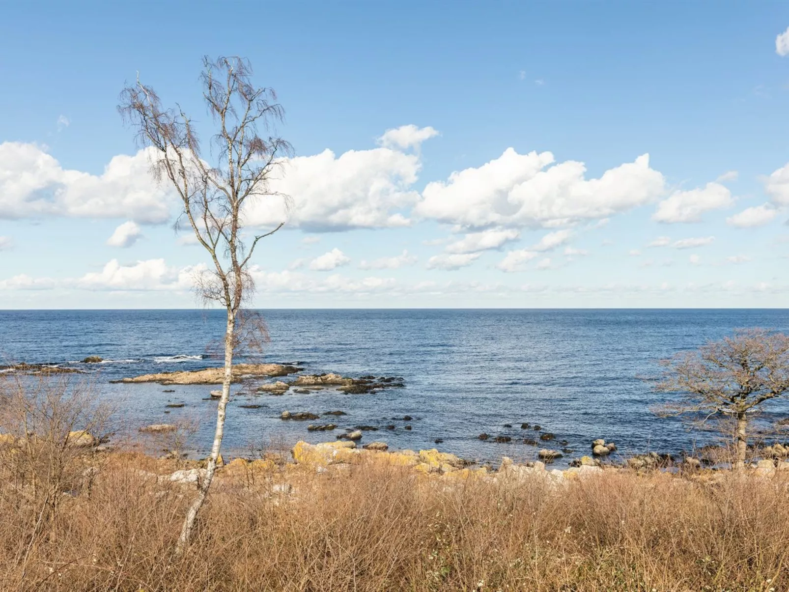 "Fabine" - 50m from the sea-Buiten