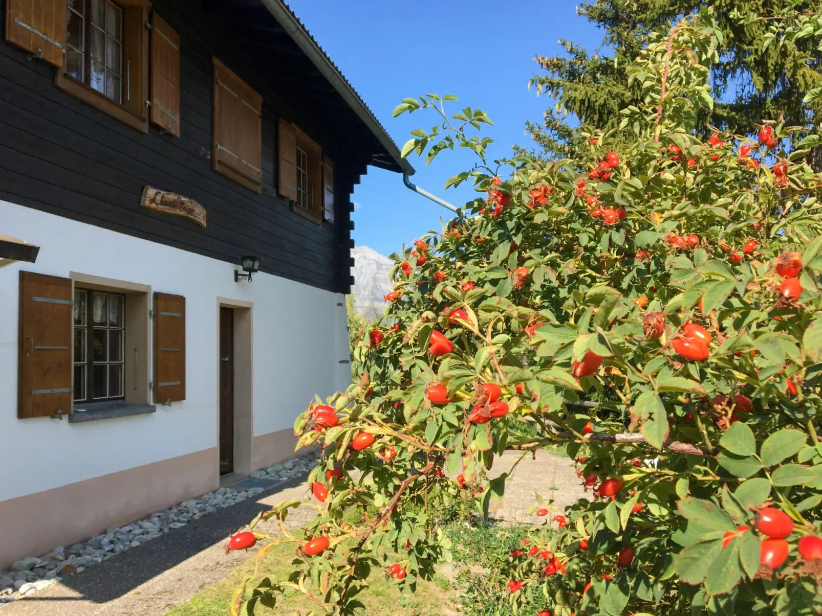 Chalet Chante Neige-Buiten