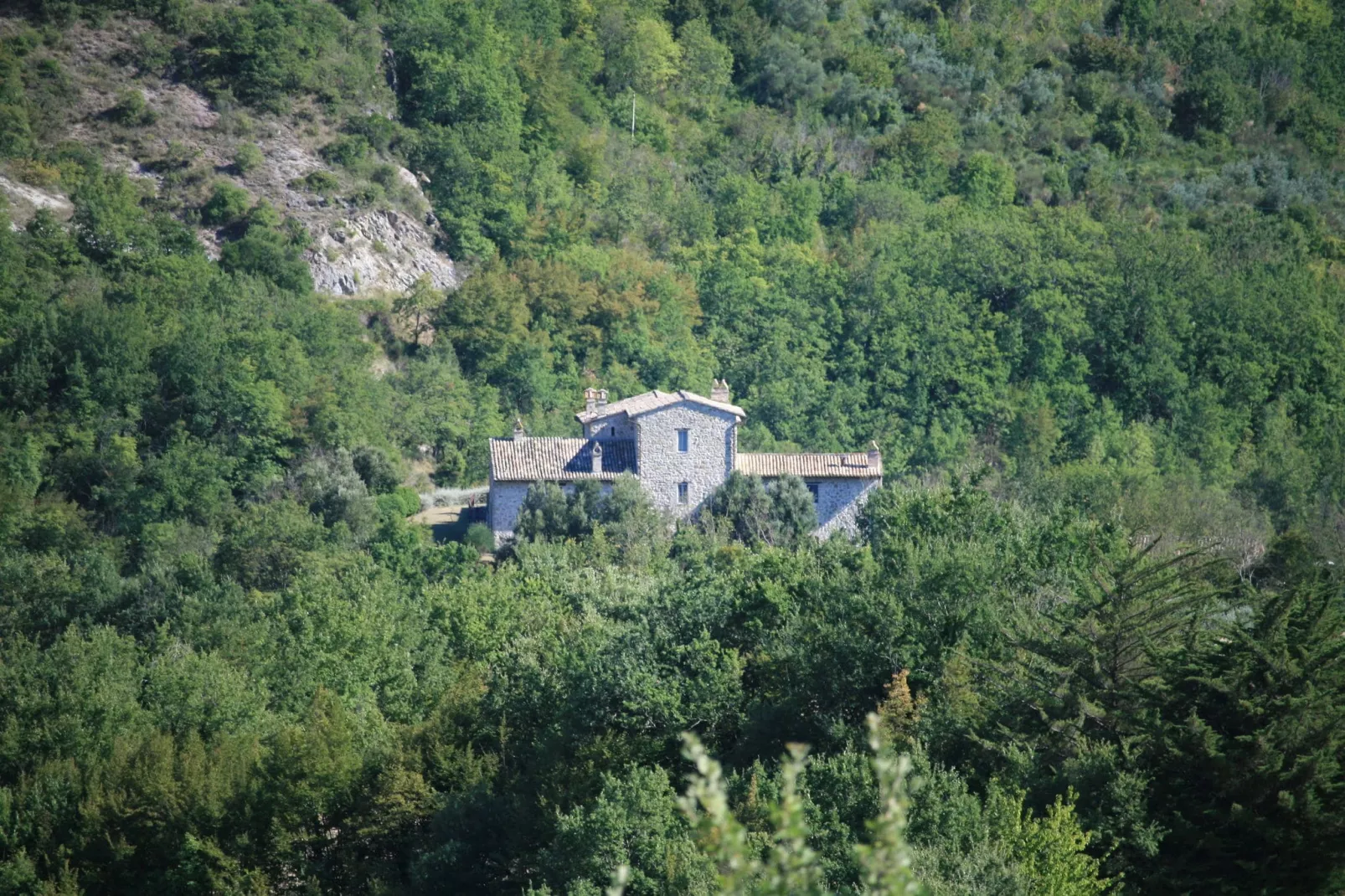 Rosmarino e Salvia-Buitenkant zomer