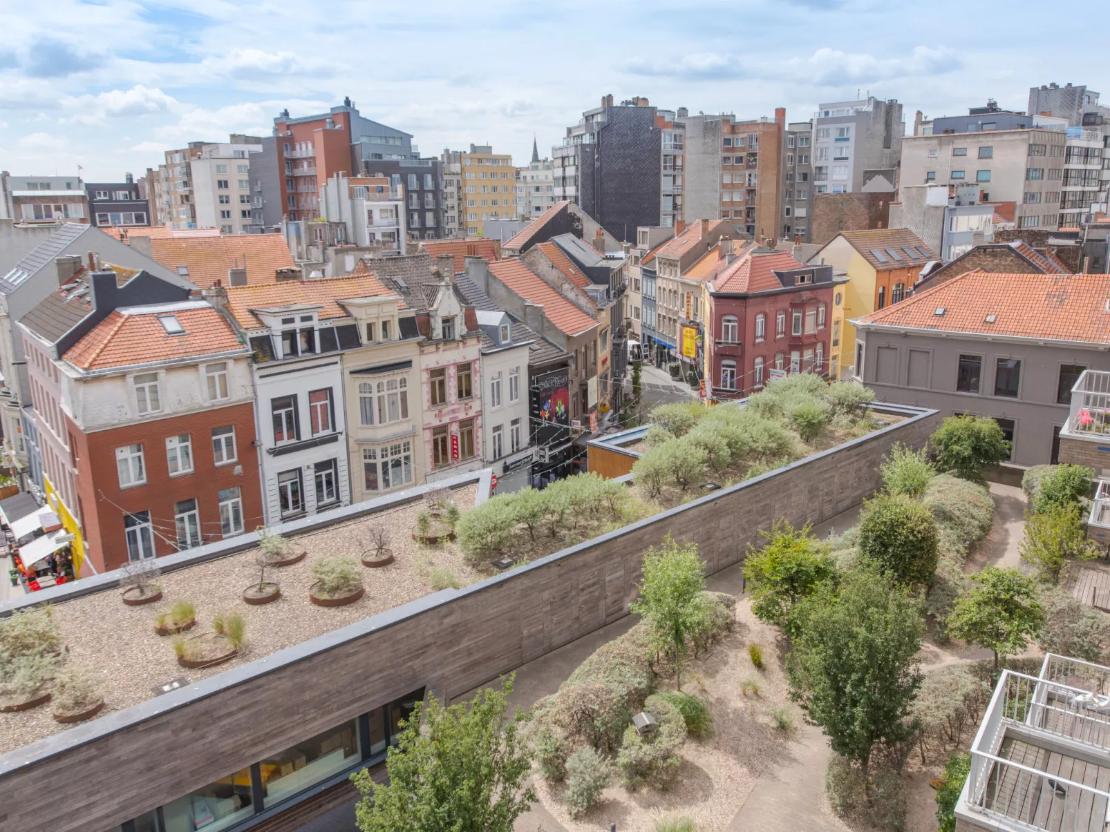 Rooftop Breeze-Buiten