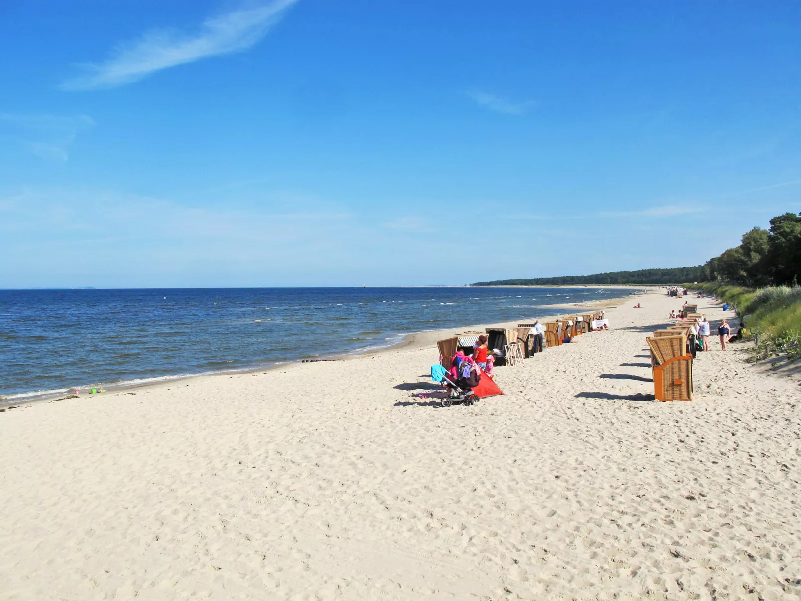 Am Walde-Omgeving