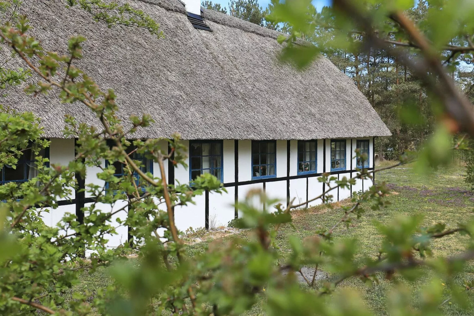 6 persoons vakantie huis in Læsø-By Traum-Uitzicht