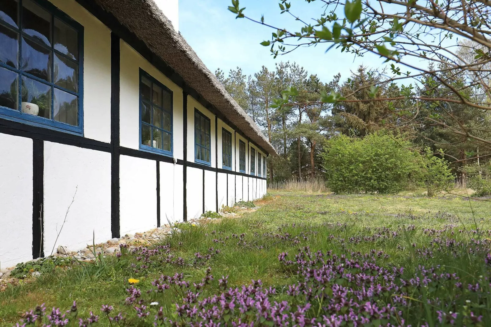 6 persoons vakantie huis in Læsø-By Traum-Uitzicht