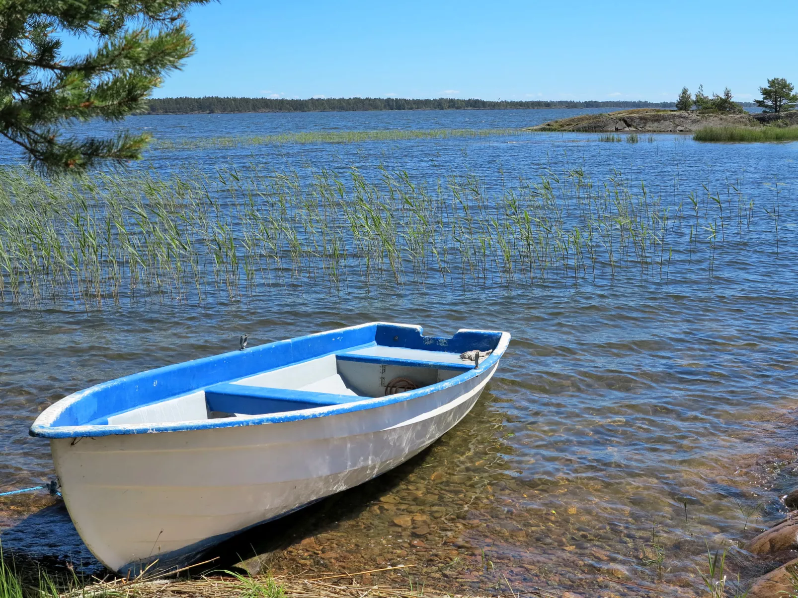Vassviken-Buiten