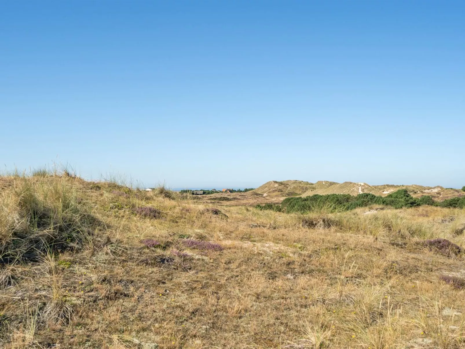 "Larsen" - 900m from the sea-Buiten