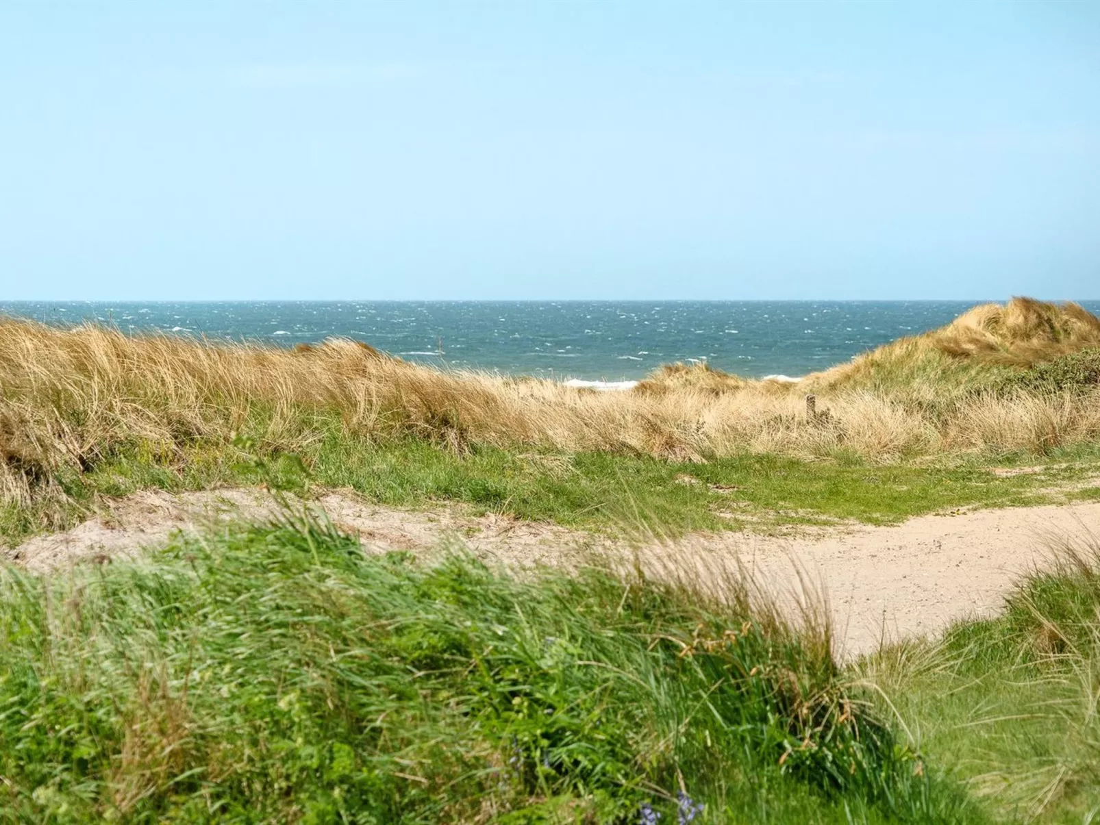 "Broder" - 150m from the sea