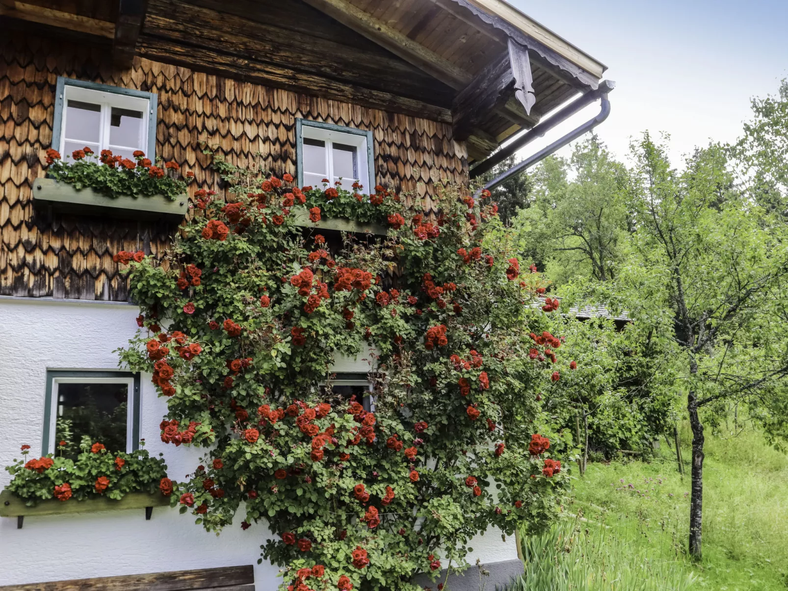 Oberhaslach-Buiten