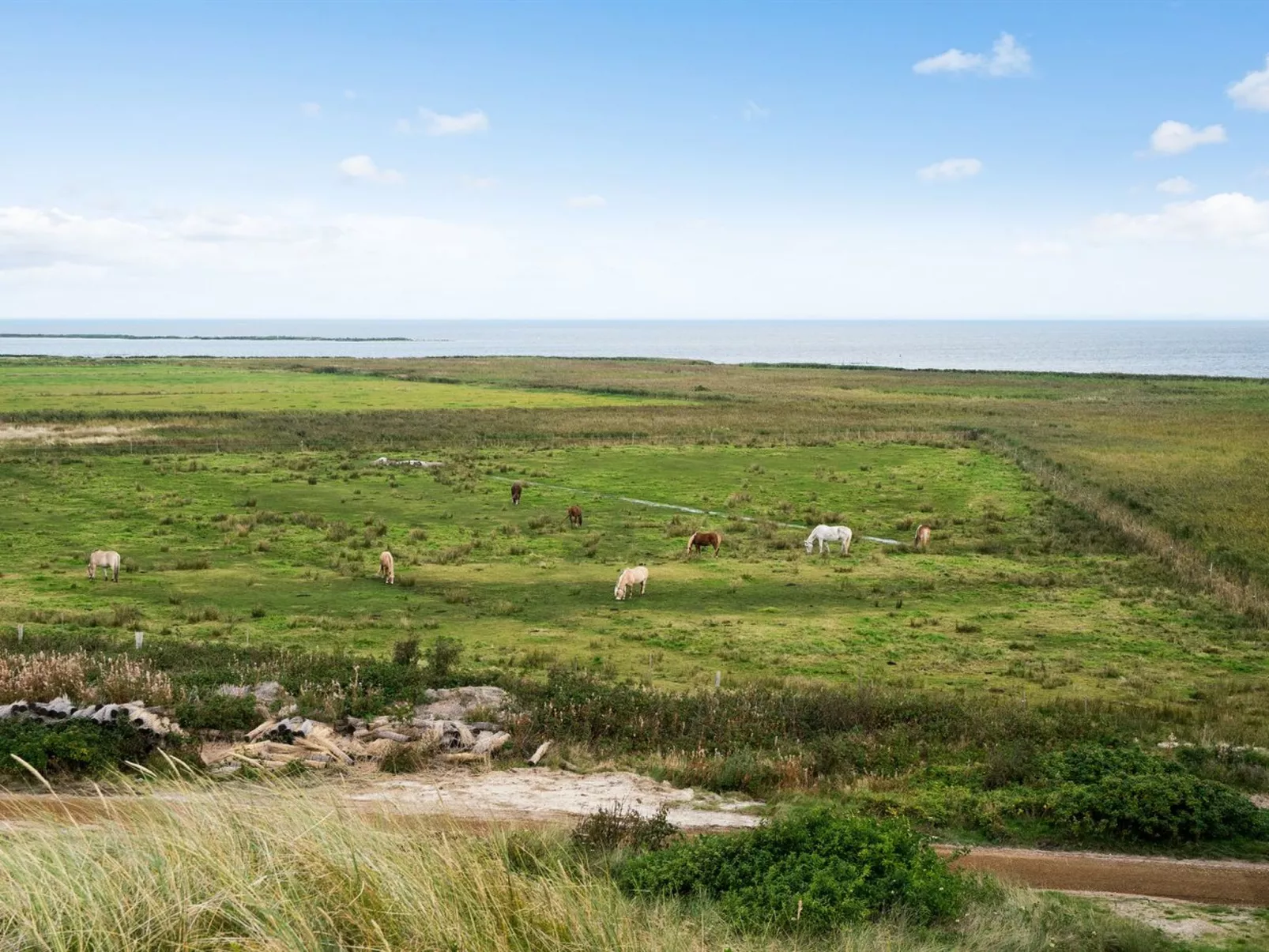 "Taja" - 300m to the inlet-Buiten