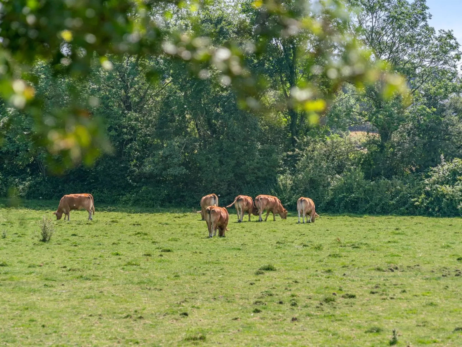 "Jeppe" - 50m to the inlet-Buiten