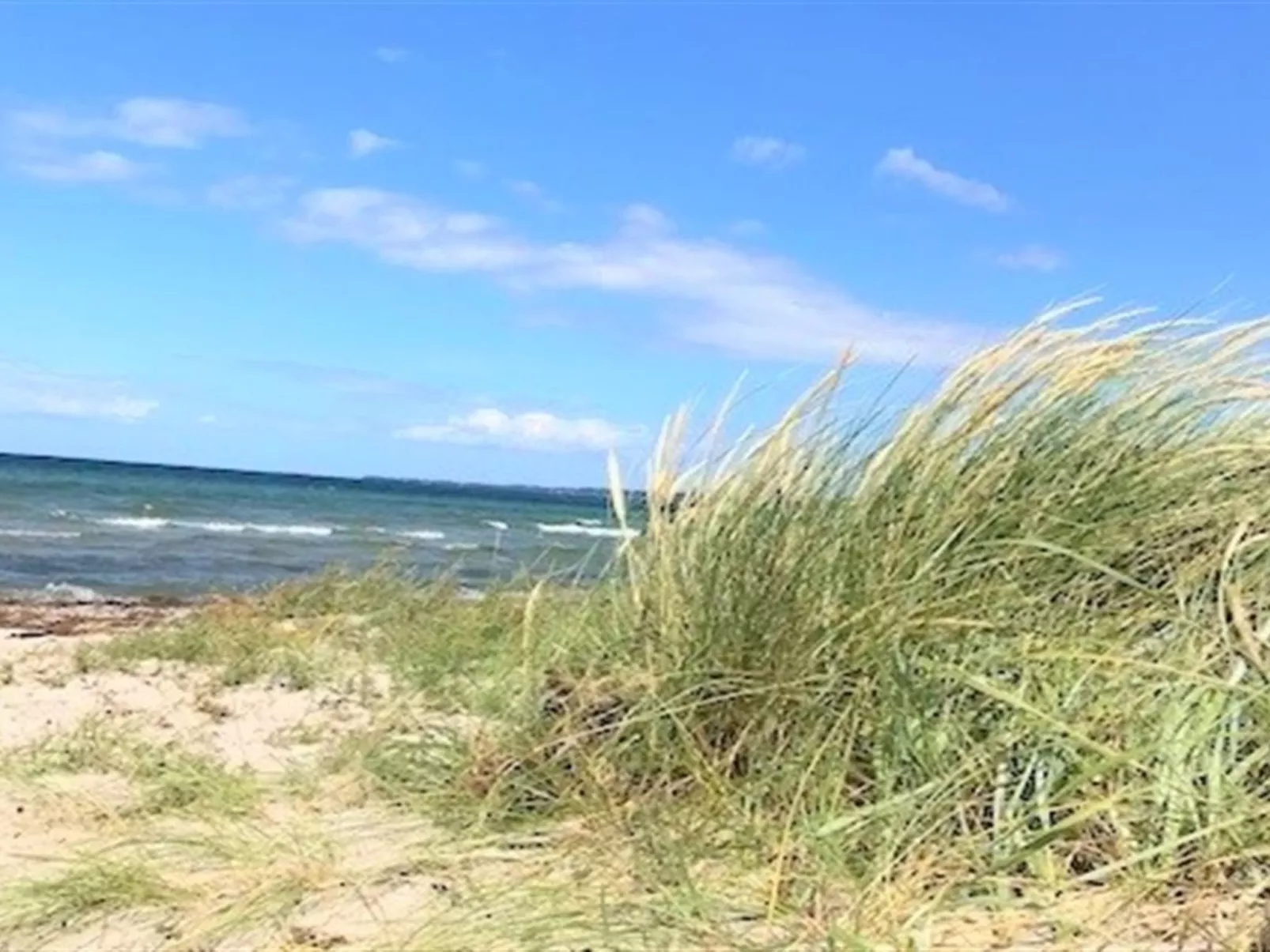 "Gregor" - 300m from the sea-Binnen