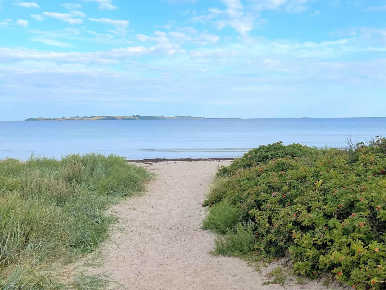 "Gregor" - 300m from the sea-Binnen