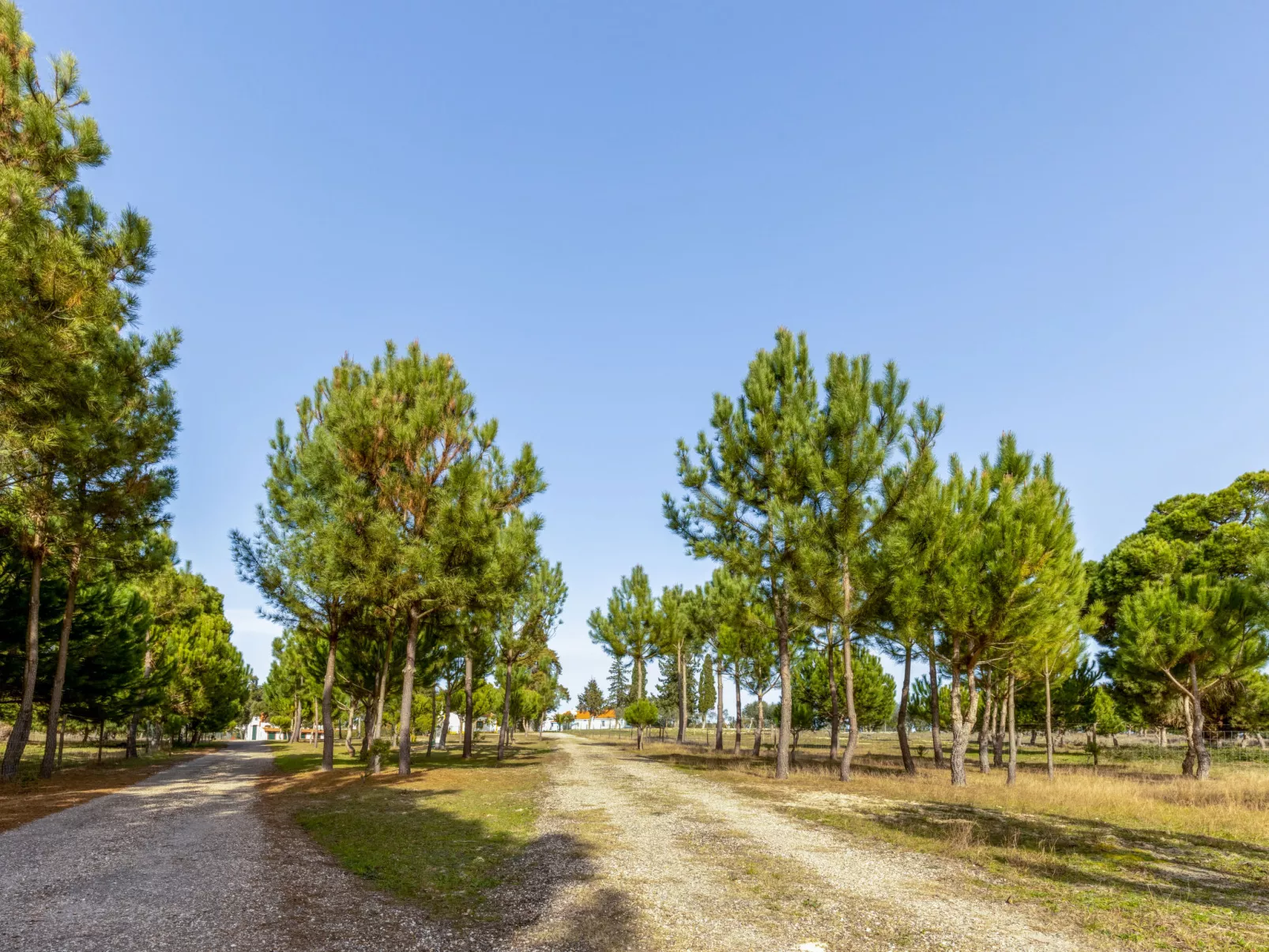 Quinta de Santa Emilia 2-Buiten