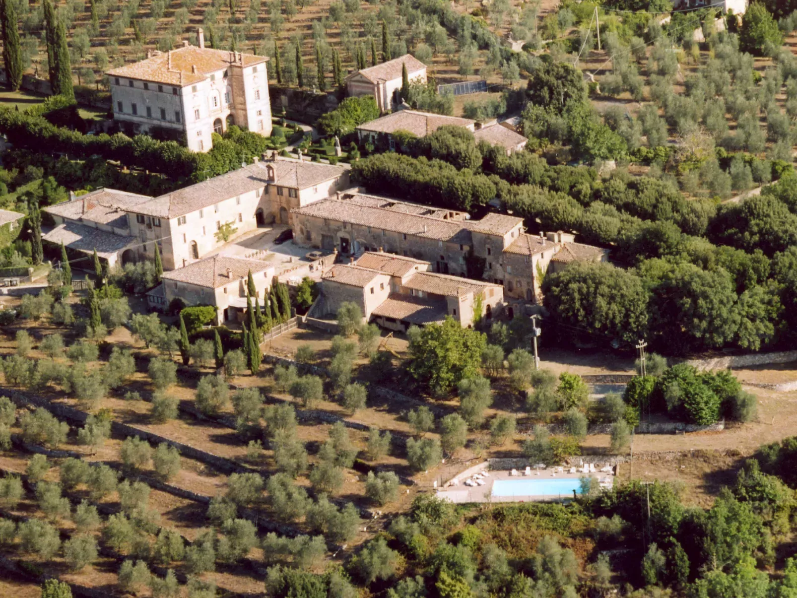 Il Cardo