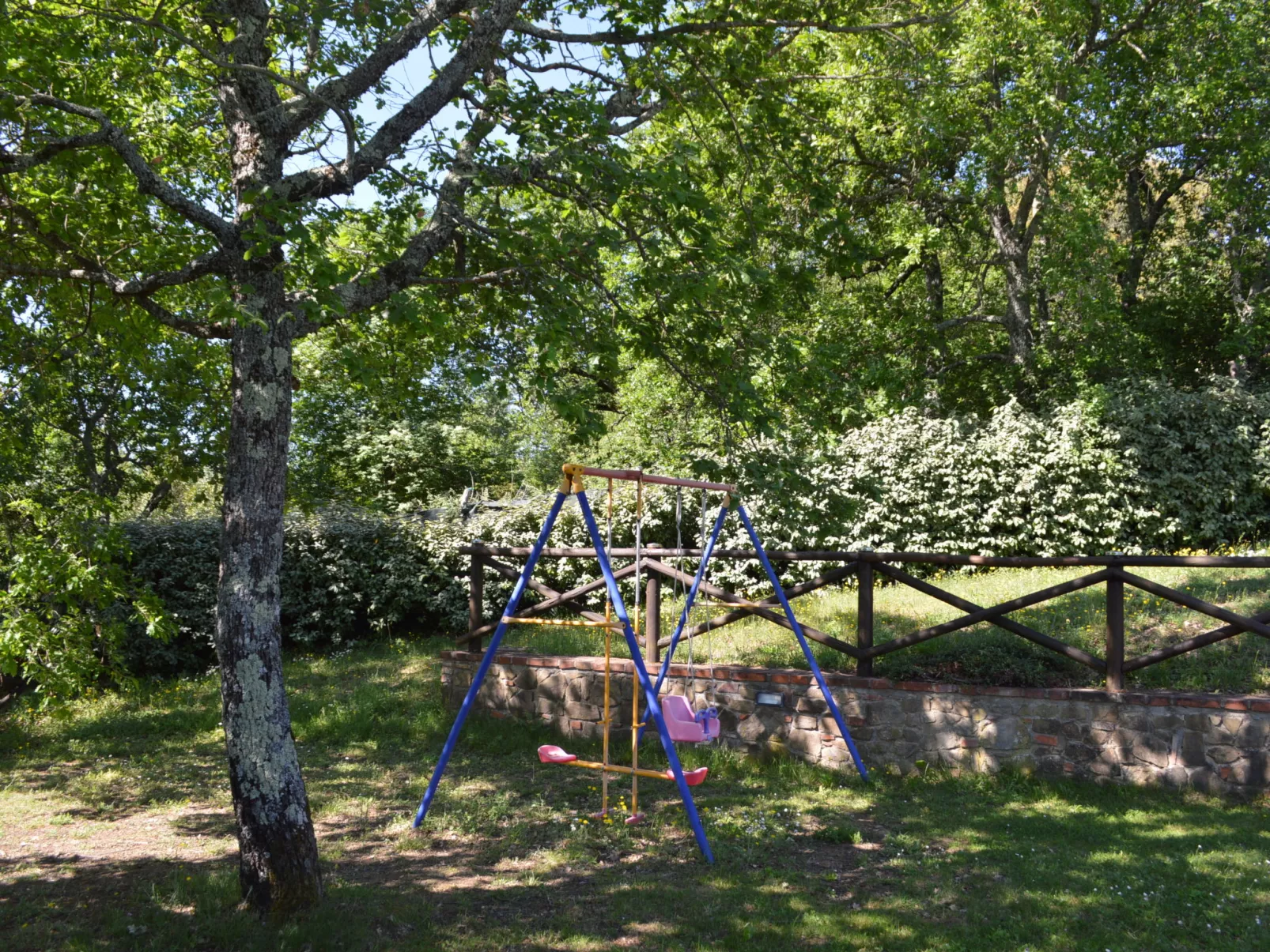 A spasso tra gli ulivi-Buiten
