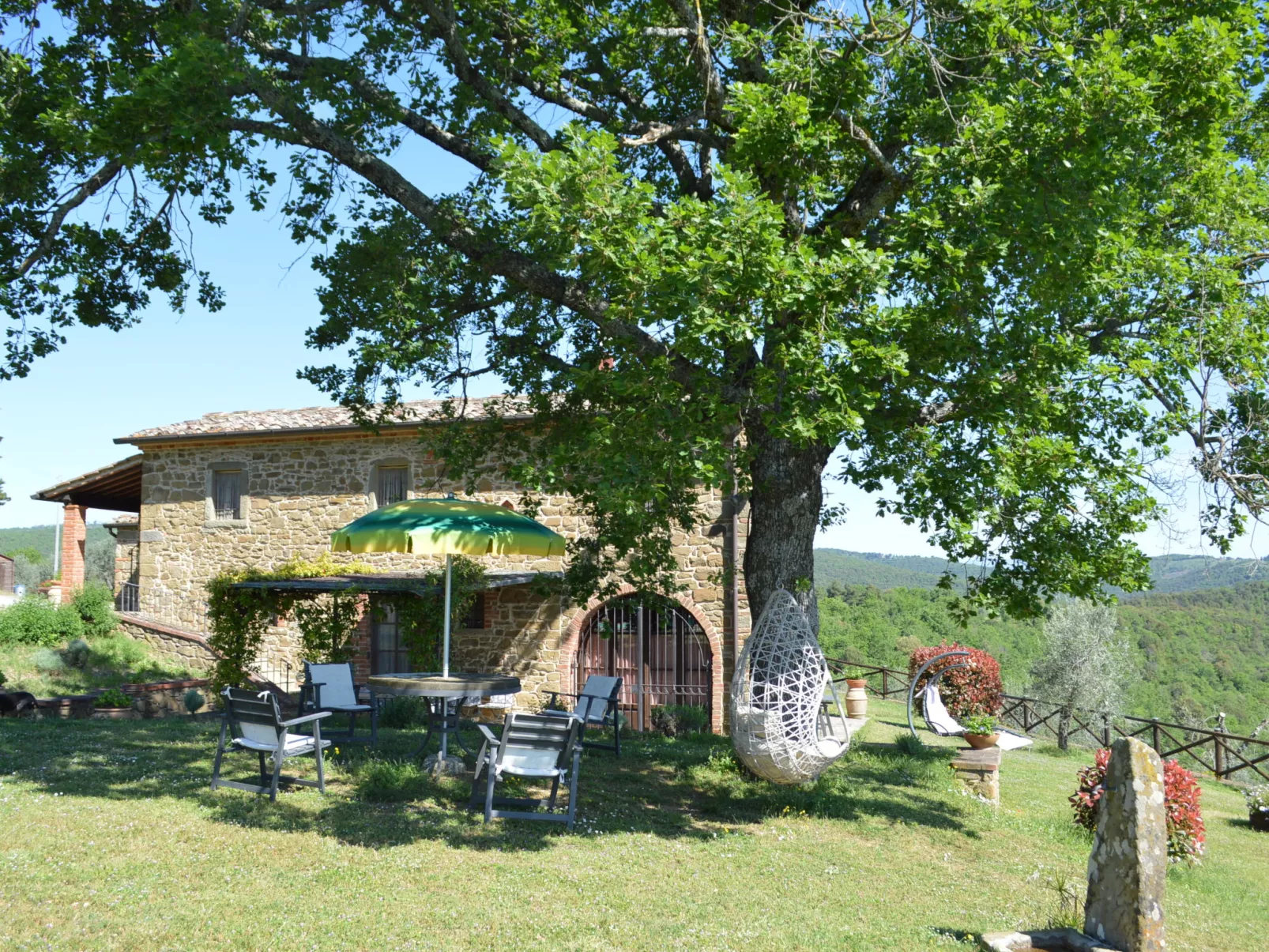 A spasso tra gli ulivi-Buiten