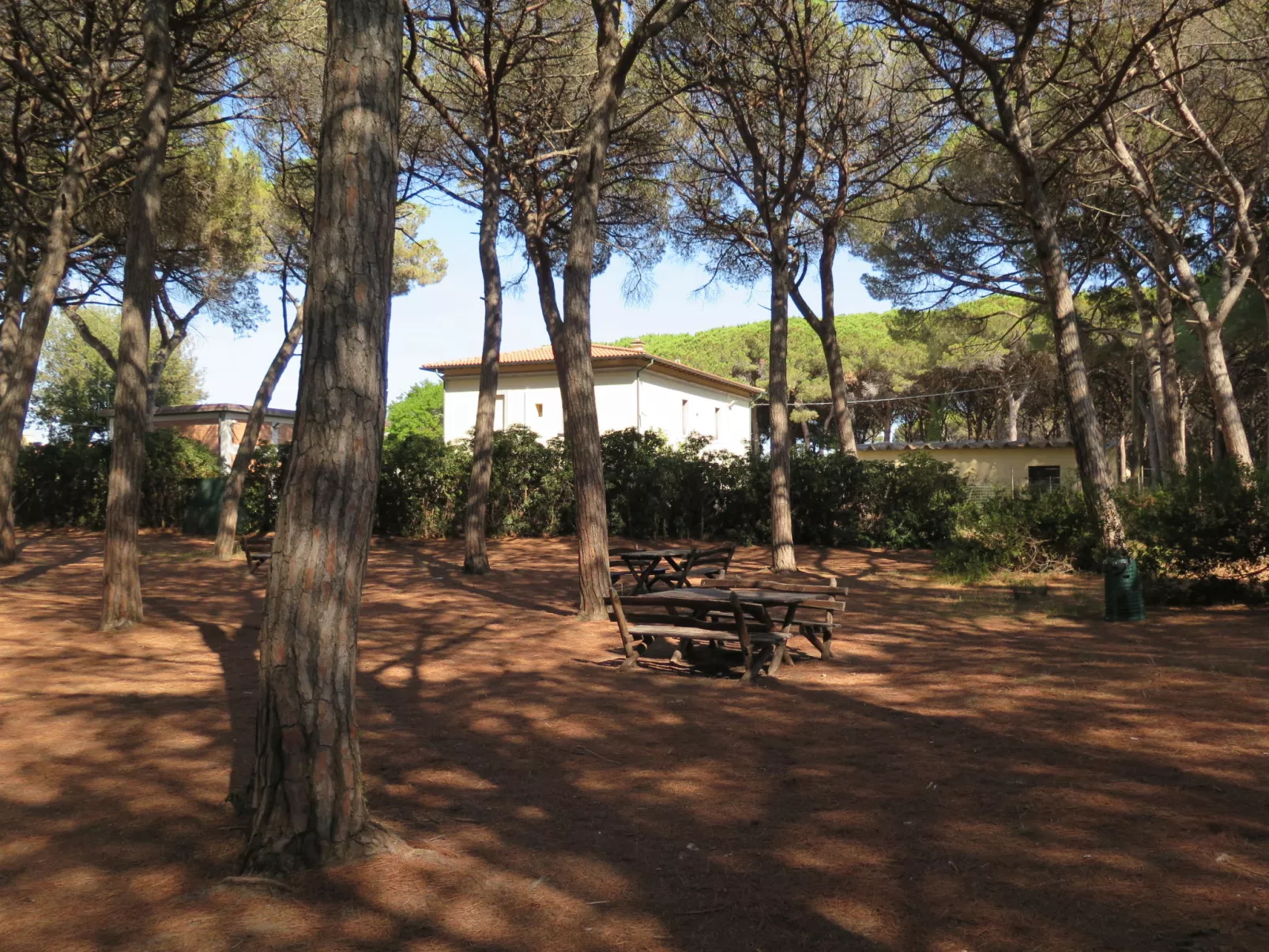 Palazzeta IV-Omgeving